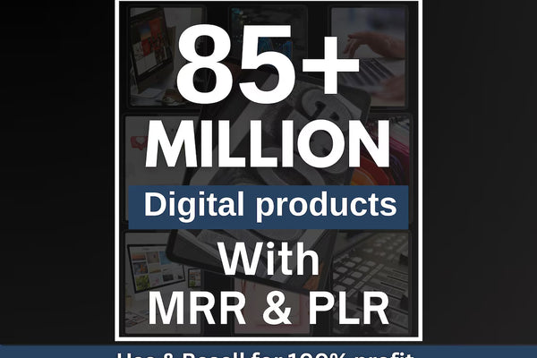 85M Online Digital Products Busines | PLR Asset Library